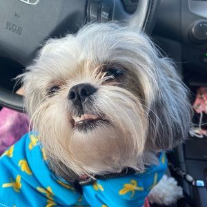 Meet your Posher, Leah